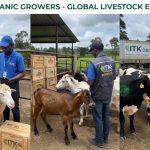 Livestock export logistics managed by ITK Organic Growers under ITK Agro - ITK Holdings